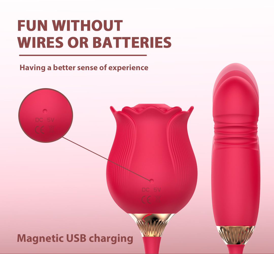 粉色玫瑰切片 08